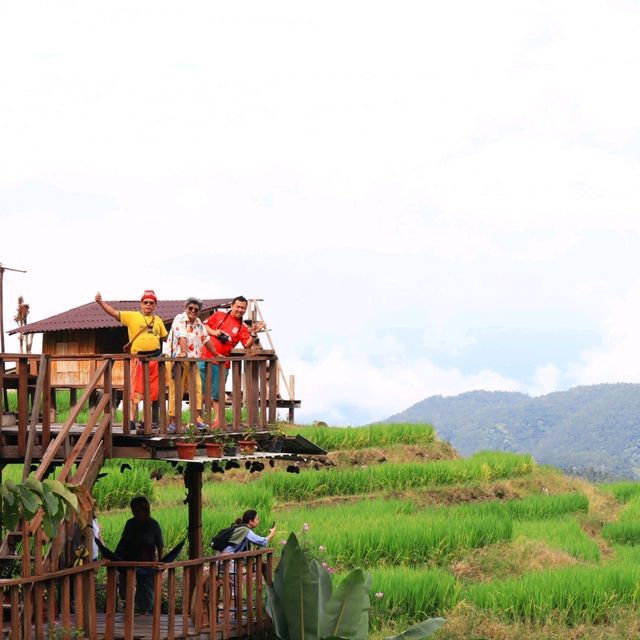 นาขั้นบันได บ้านป่างเปียง เชียงใหม่