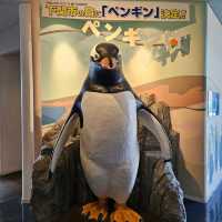 市立下關水族館-海響館