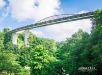 ทางเดินลอยฟ้า The Southern Ridges