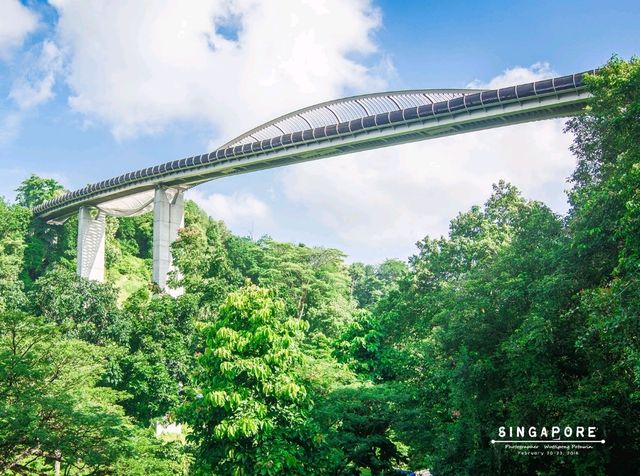 ทางเดินลอยฟ้า The Southern Ridges