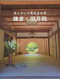 【紫陽花で知られる💐静かなお寺明月院🌕】