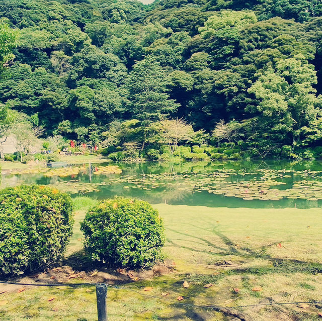 別府地獄溫泉之旅
