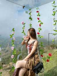 Maona sapa คาเฟ่เวียดนามเหนือห้ามพลาด!!