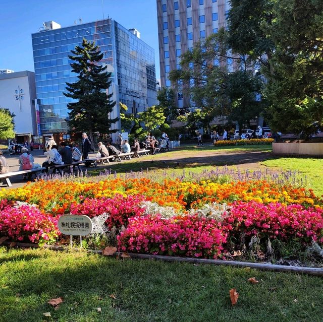 北海道之旅-札幌市區自由行-大通公園/豐平館/札幌天文臺/計時台