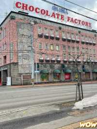 เดินเที่ยวชิโรอิโคอิบิโตะพาร์ค