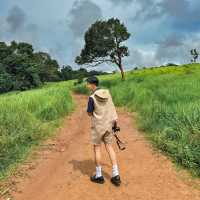 อุทยานแห่งชาติเขาใหญ่ | KHAO YAI National Park 