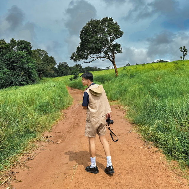 อุทยานแห่งชาติเขาใหญ่ | KHAO YAI National Park 