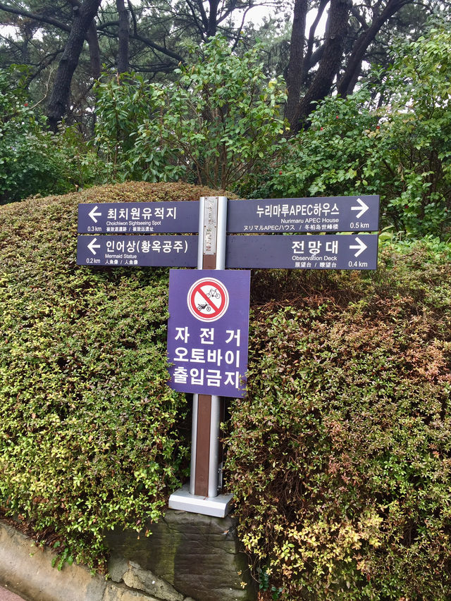 釜山APEC世峰樓-外型設計獨特，附近環境優美，景色怡人