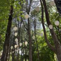 A Perfect Day Trip from Seoul: Alpaca World, Nami Island, and Gangchon Rail Park