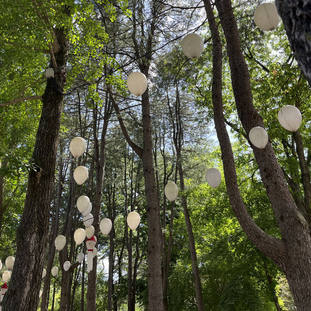 A Perfect Day Trip from Seoul: Alpaca World, Nami Island, and Gangchon Rail Park