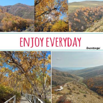 九連山：秋季的絕美畫卷 🍂🏞️