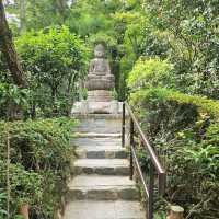Ryoanji Temple