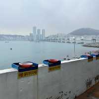 🇰🇷【釜山】白淺灘文化村 흰여울문화마을