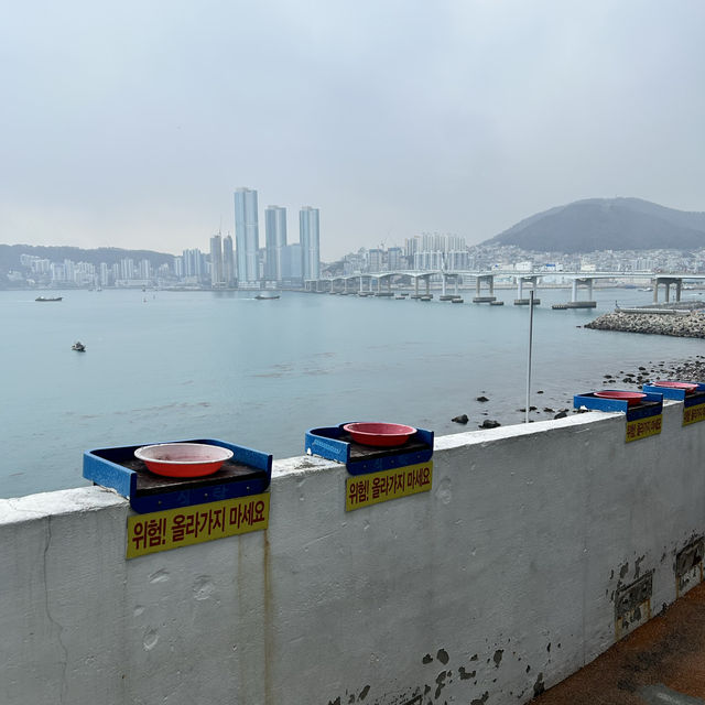 🇰🇷【釜山】白淺灘文化村 흰여울문화마을