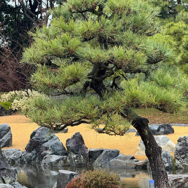 深田氏庭園：庭園靜謐🍃🌸