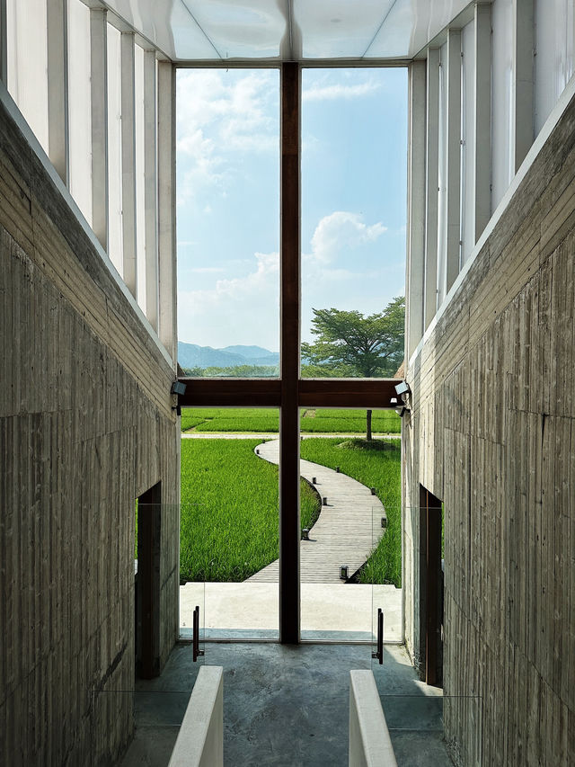 香港周邊游｜歸隱田園🌾清遠稻田咖啡館+餐廳