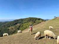 อาข่า ฟาร์มวิลล์ (Akha FarmVille)