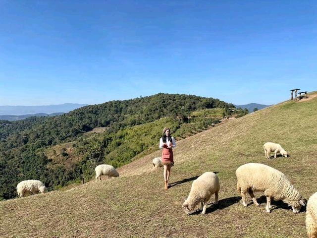 อาข่า ฟาร์มวิลล์ (Akha FarmVille)