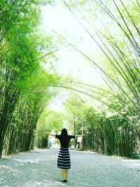 ซุ้มต้นไผ่ วัดจุฬาภรณ์วนาราม นครนายก