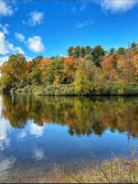 A beautiful view of the fall colors🍀
