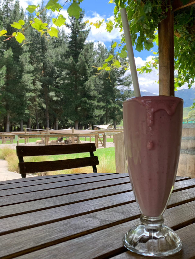 ニュージーランド｜距離が近い！アットホームな動物園・Hanmer Springs Animal Park