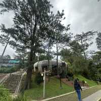 Baguio Botanical Garden: 