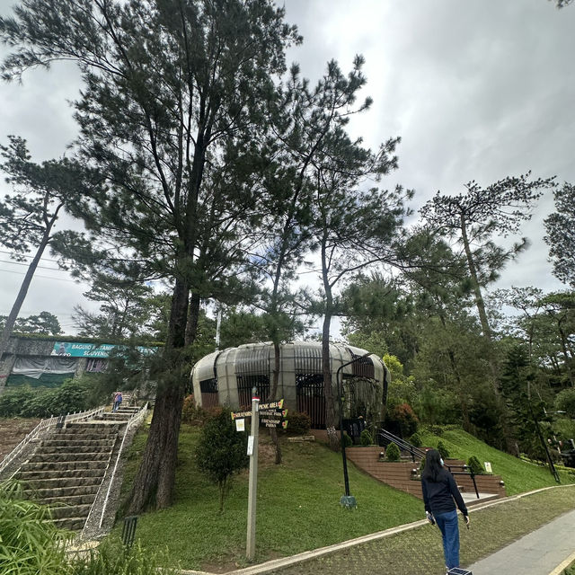 Baguio Botanical Garden: 