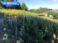 漫步布拉格老城廣場：布拉格市內一日遊行程分享
