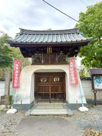 【埼玉県】秋の八角円堂前は銀杏の実が凄い！