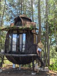 Glamping with Fantastic view of Toba Lake 
