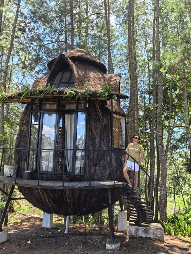 Glamping with Fantastic view of Toba Lake 