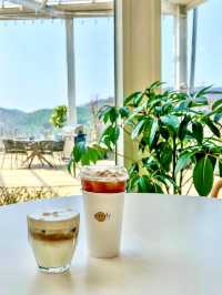 식물원에 온 듯한 루프탑 카페🌿
