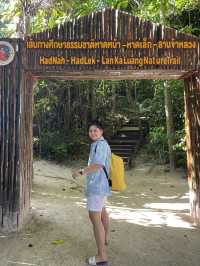1 Day Trip หมู่เกาะสิมิลัน ทะเลสวยอันดามัน