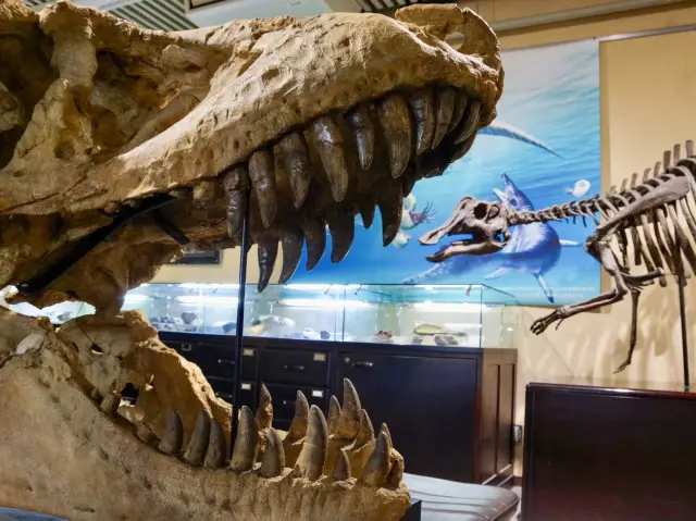 【北海道・札幌】免費卻超值的必看博物館