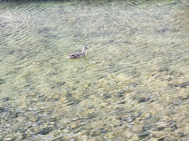 지금 가야할 걷기 좋은 청계천&흥인지문공원🏞