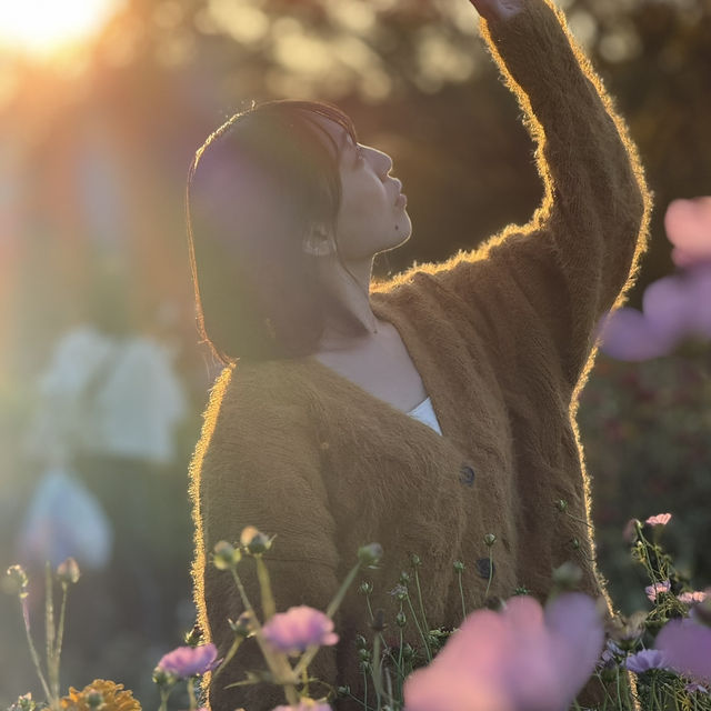 【東京】紅葉の時期にオススメ公園