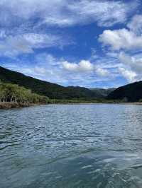 奄美大島　マングローブでカヤック体験！🛶