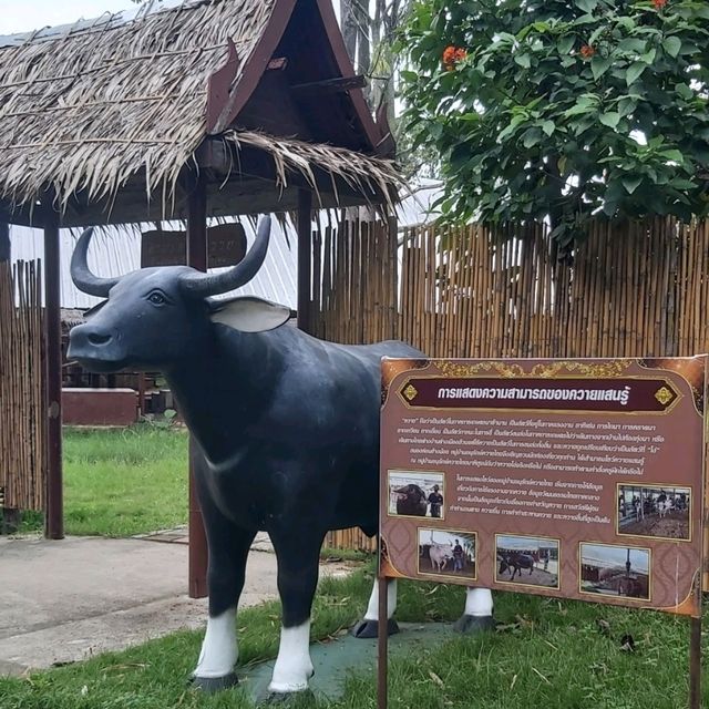 Thai Buffalo Village สุพรรณบุรี