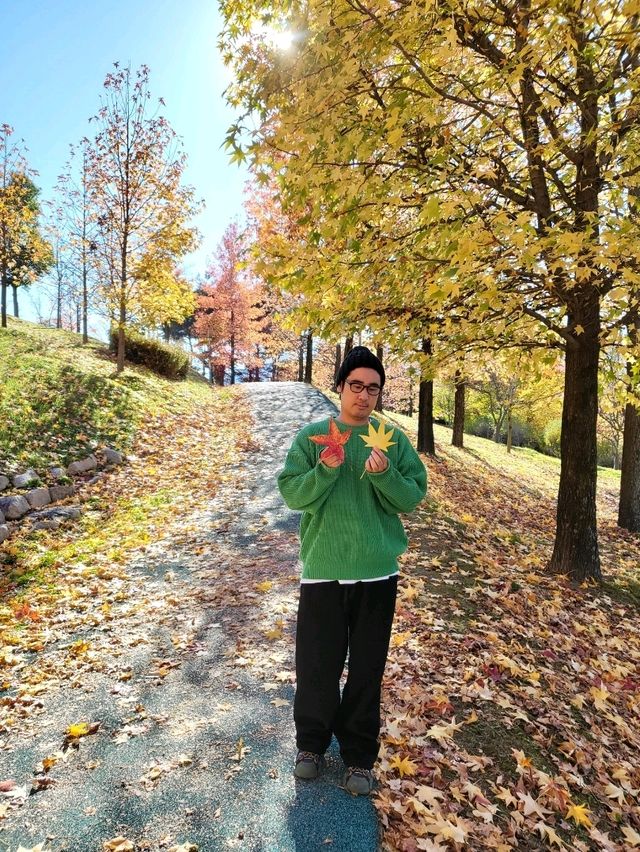 도심속 예쁘게 물든 거창 단풍숲공원