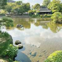 Garden of Wonders: Discovering the Beauty of Suizenji in Kumamoto!