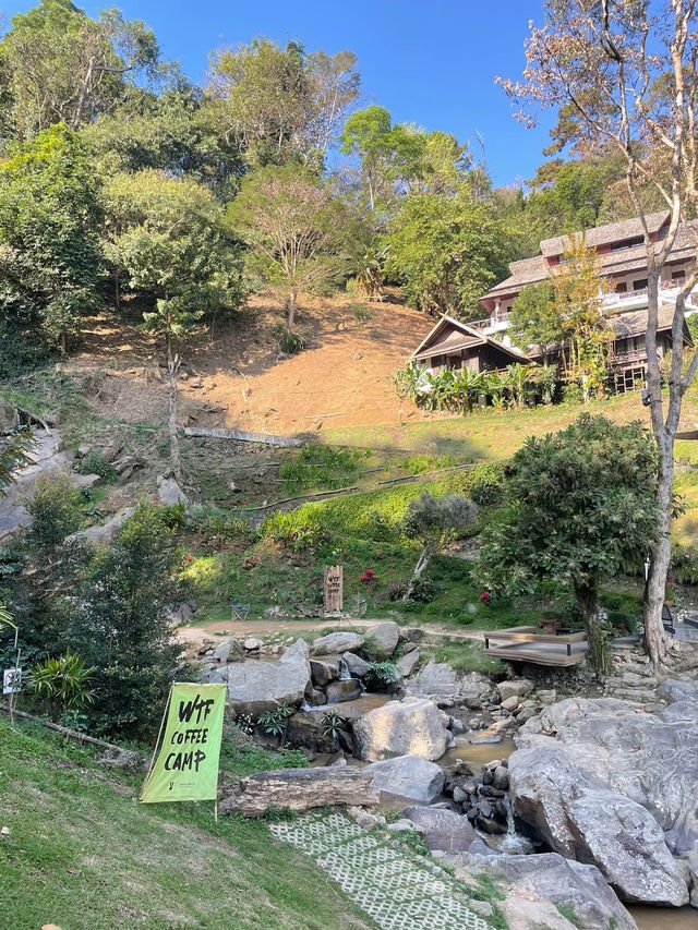 WTF Coffee Camp 🏕️ 
