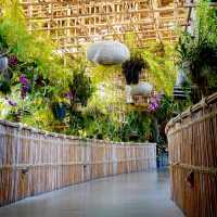 ร้านลับเมนูท้องถิ่นอัมพวา | ร้านข้าวใหม่ปลามัน 