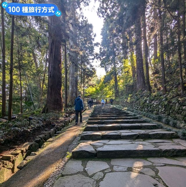 漫步參天杉木的森林參道：仙台名勝瑞鳳殿