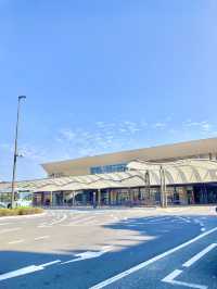 【岩国グルメ】駅前商店街で餃子を食す🥟