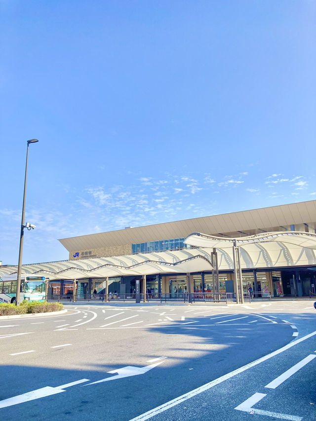 【岩国グルメ】駅前商店街で餃子を食す🥟