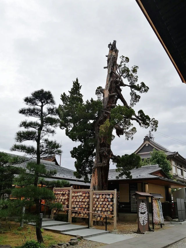Zenkoji Temple (วัดเซนโคจิ)