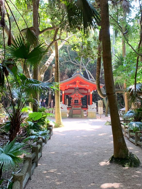 【宮崎　青島】