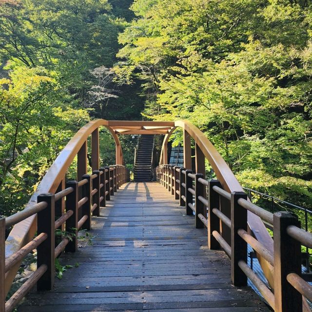 우리나라에서 가장 높은산 한라산을 가보자