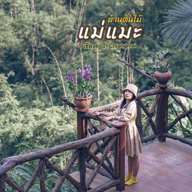 บ้านต้นไม้แม่แมะ - อ.เชียงดาว เชียงใหม่