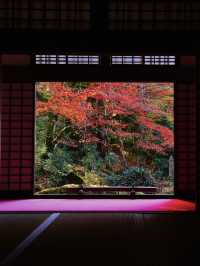 【ここ行って】国の重要文化財多数存在する紅葉スポット🍁大量のお地蔵さんも✨